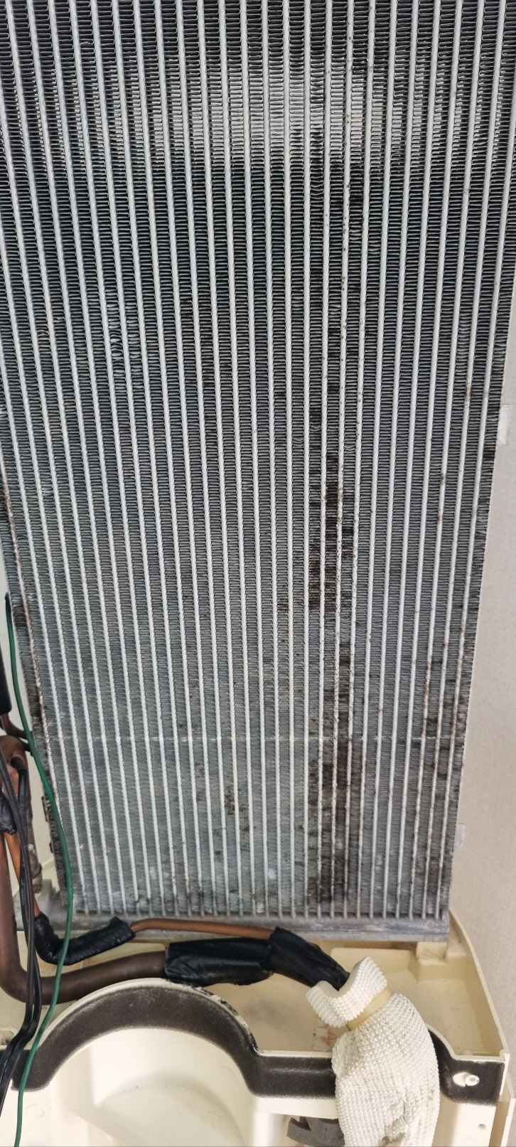 31976840_smkESCpQ_73ae6c5677e6105ef284a8cdedfc2c8127c3964e.jpg 이미지크게보기