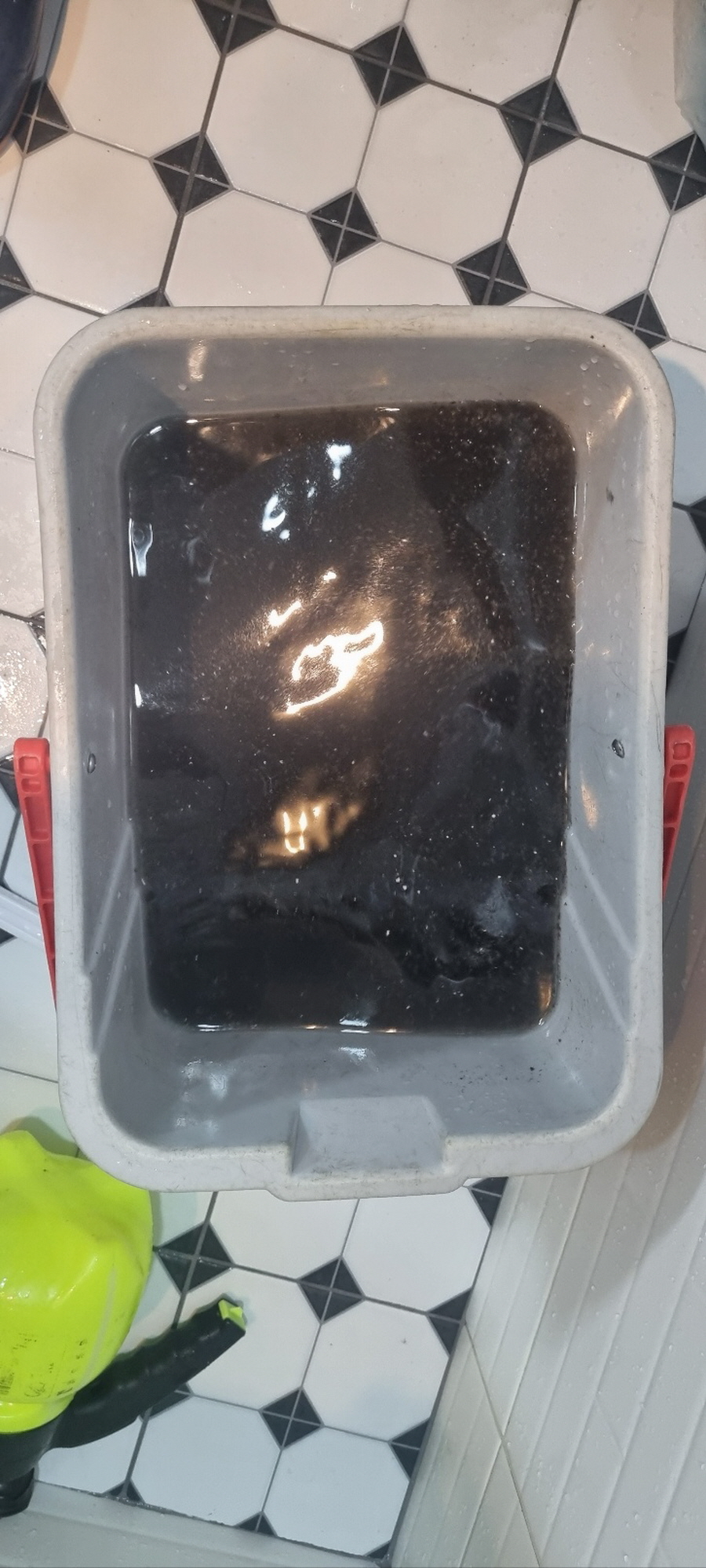 31976840_uMas9qIP_88e6df3f85e05eee2fb3469e595f8a2538ba95eb.jpg 이미지크게보기